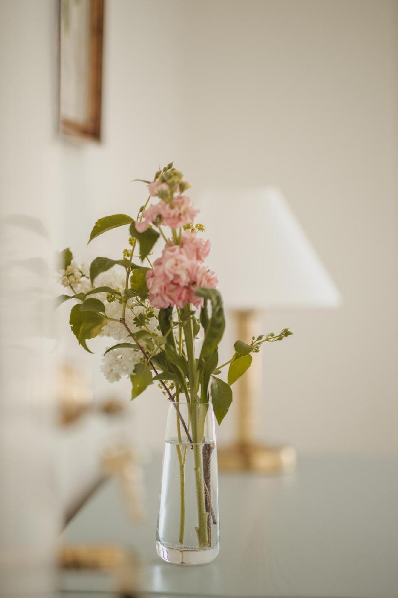 Gundershoj Bed & Breakfast Ebberup ภายนอก รูปภาพ
